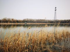 -大兴滨河森林公园