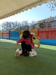 -萌宠亲子动物乐园(槐房万达店)