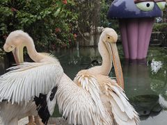 -灵玲国际马戏城