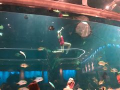-瑞德姆美人鱼海底演艺主题餐厅(亚龙湾店)