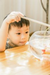 -ZOO KIDS象集摄影工作室(西城公馆店)