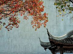 -老门东历史文化街区