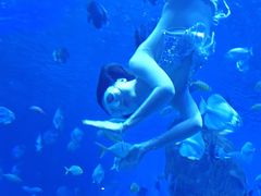 -石家庄极地海洋世界