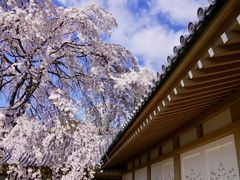 -醍醐寺
