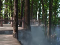 -东湖落雁景区