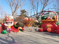 -南宫五洲植物乐园