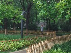-丰台科技园生态主题公园