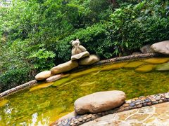 -天目湖涵田半山温泉