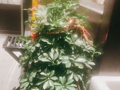 -正德楼果木烤鸭·渔家菜(东港店)