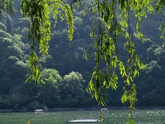 -秦岭终南山世界地质公园翠华山景区