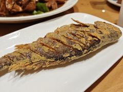 -老牌坊鲁菜名店(聊城美食岛店)