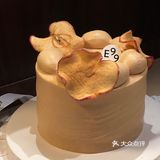 它们家每一款的颜值都正中我心❗️