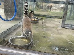 -水绘园