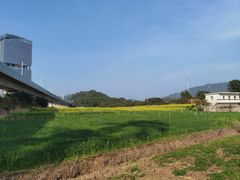-光明小镇欢乐田园