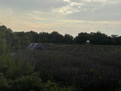 -上海杨姆庄园