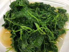 酒香金花菜-协和菜馆(凤凰街店)