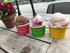 -Patagonia Chocolates(皇后镇店)