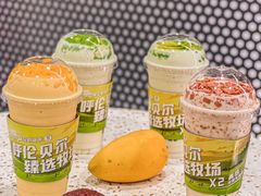 -茉酸奶(春熙路店)