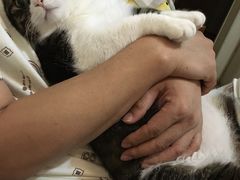 -爱派特动物医院·全科诊疗中心