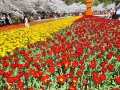 -苏州上方山国家森林公园