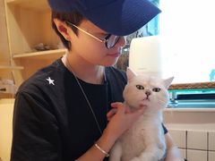 -喵屿·大理花园猫咖