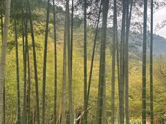 -黄公望隐居地