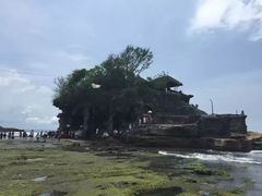 -金巴兰海滩烛光bbq