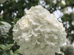 -杭州城北体育公园