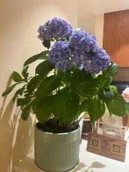 -阿南达·瑜伽普拉提·阿育吠陀疗愈中心