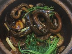 黄鳝-五邑人家(江门店)