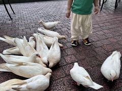 -茵特拉根酒店·西餐厅