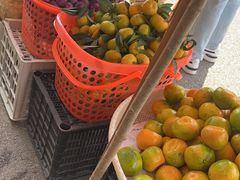 -江龙饭店·乌江豆腐鱼(乌江老桥头店)