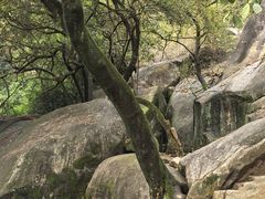 -云洞岩风景区
