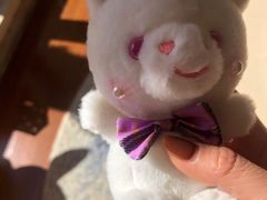 -PAWTOY爪e玩偶店(天兴罗斯福店)