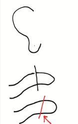 -花师傅