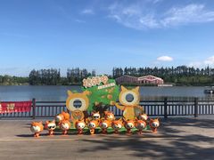 -上海长兴岛郊野公园