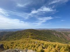 -苏木山森林公园