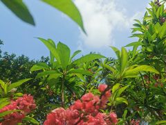 -桃花涧