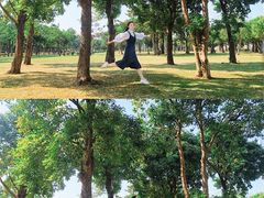 -万绿园
