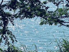 -苏州上方山国家森林公园