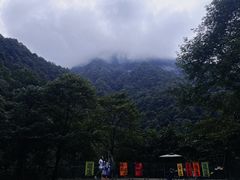 -西岭雪山大飞水景区