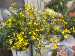 -花草间花行(法华镇路店)