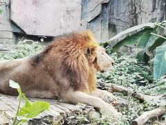 -南宁市动物园