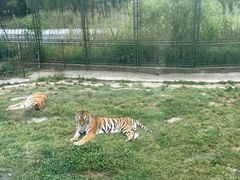 -上海野生动物园