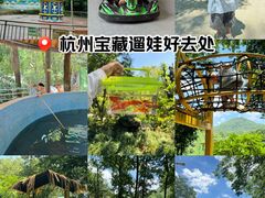 -杭州少年儿童公园