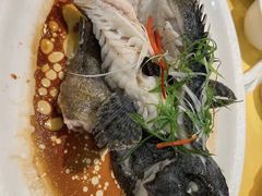 -莲花公园煎蟹(总店)
