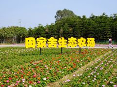 -迪茵湖田家舍生态农场