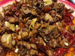 -柴窝堡22号辣子鸡·传承新疆菜