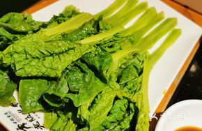 Sichuan Bitter Melon Shoots