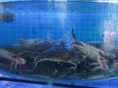 -鼓歌海鲜舫·手抓海鲜(大学城店)